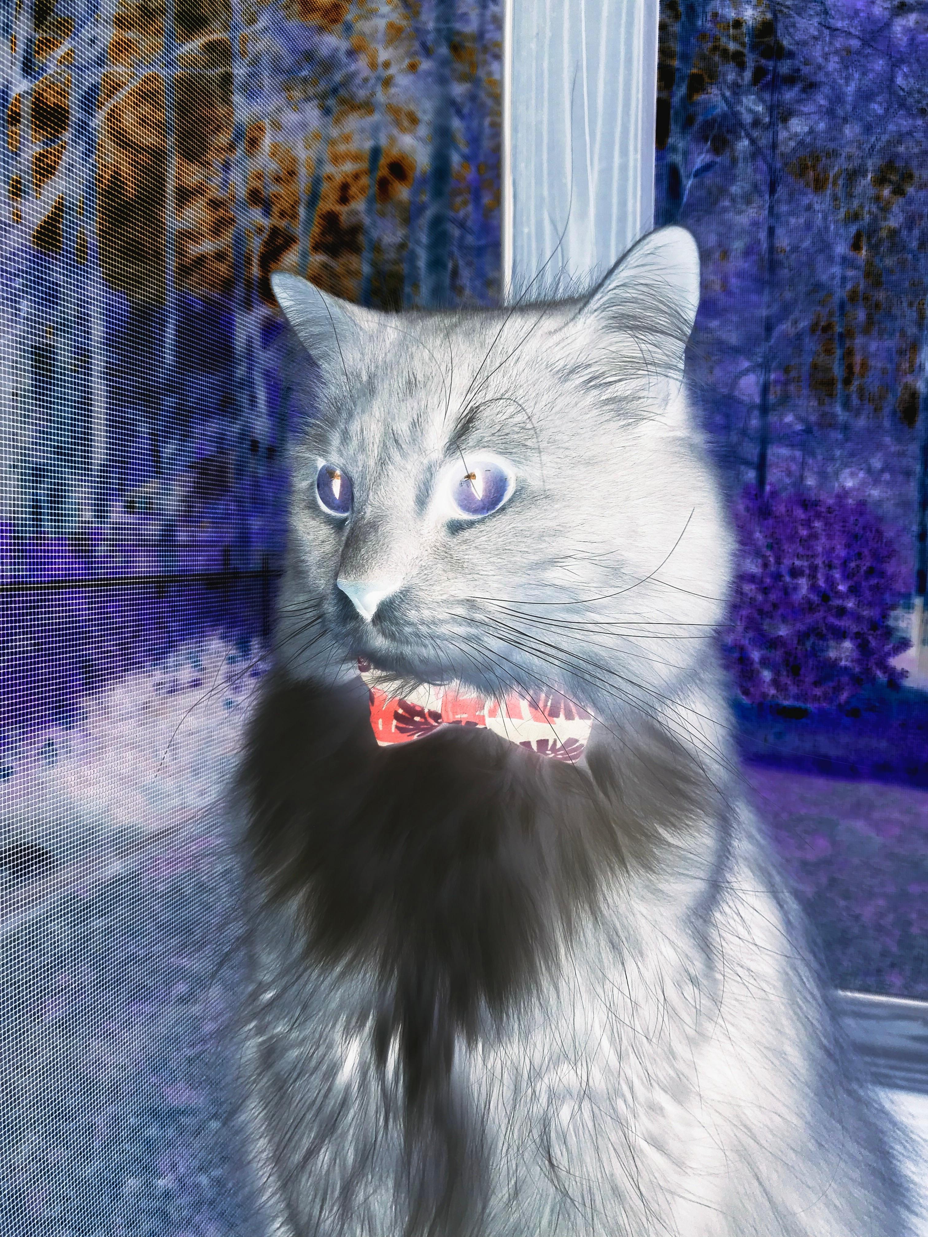 _勇士出手如神，迎来一波胜利潮_，勇士出击美国大片