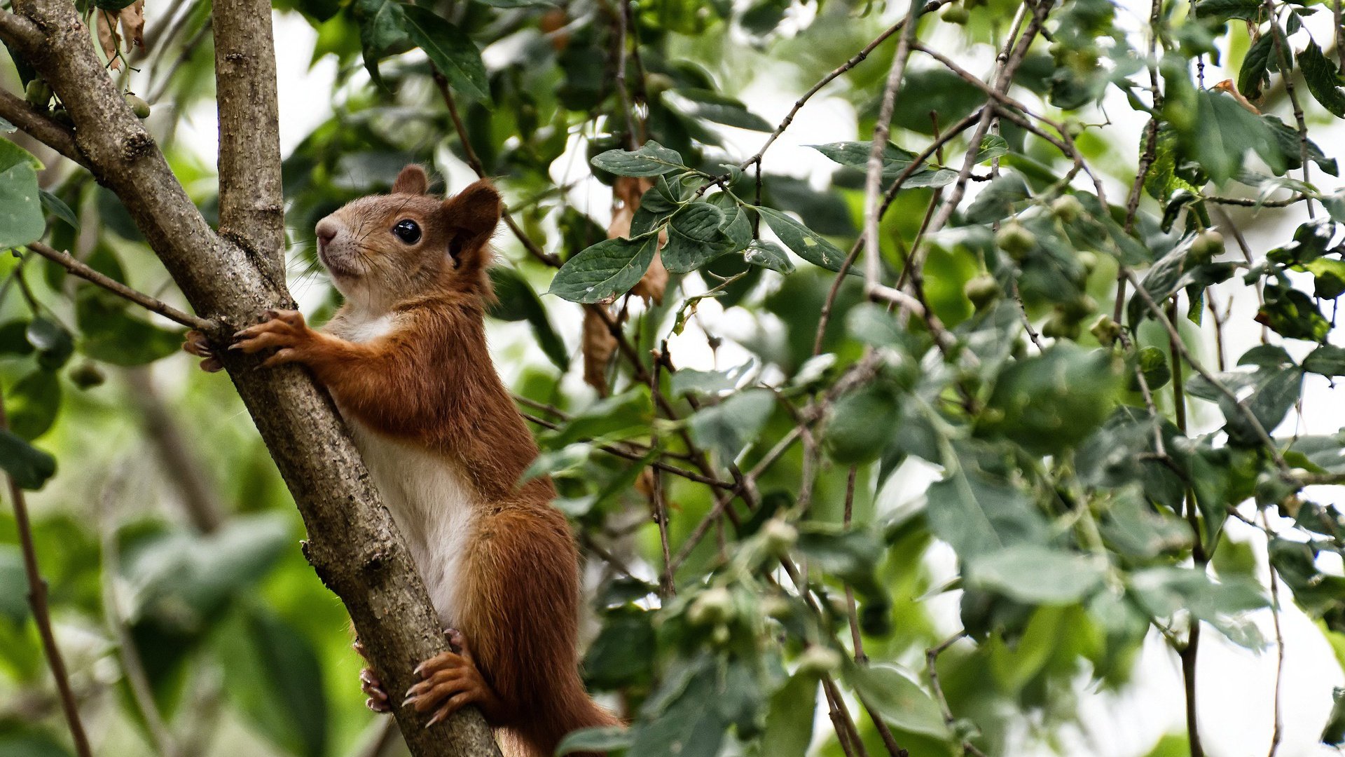 九游网页版官网-_冬季极地冰雪漂流：勇敢者的极限体验_，极地冰雪世界