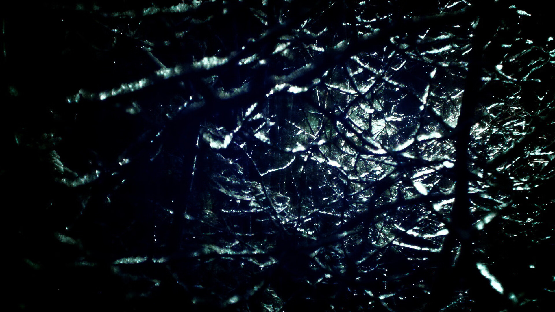 九游下载中心-_破纪录时刻：运动员创下个人或赛事新高_，运动员世界纪录