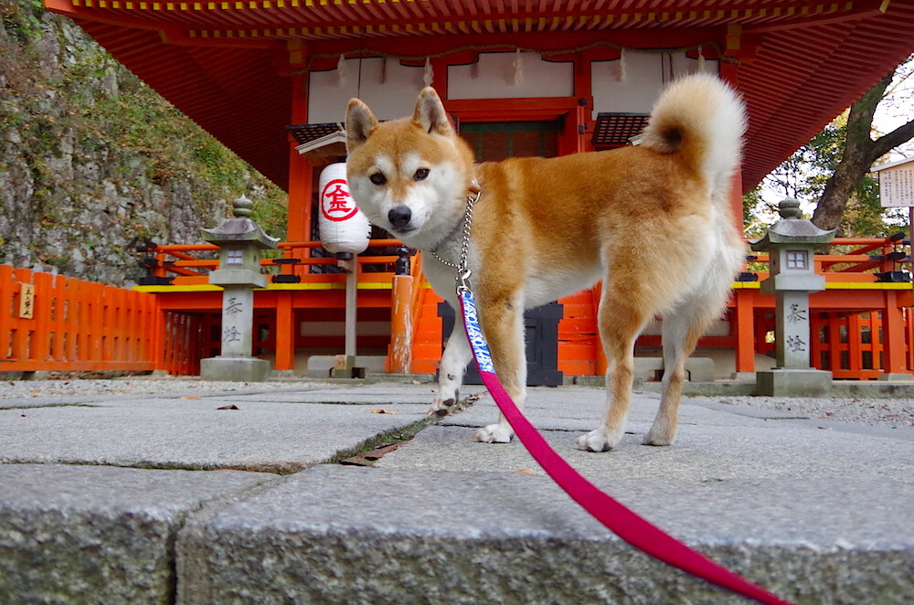“英超逆转场面不断,高潮迭起令人振奋”,“英超”