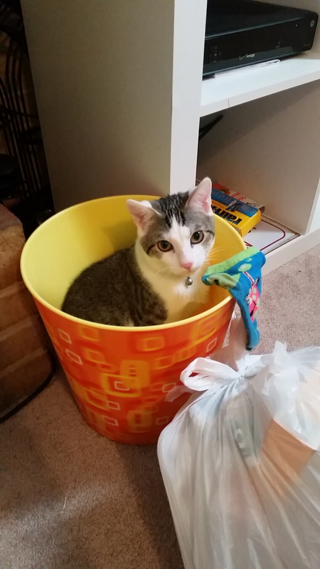 九游游戏中心-《王者荣耀国际考察赛，东南亚队伍表现亮眼》，王者荣耀国际竞标赛