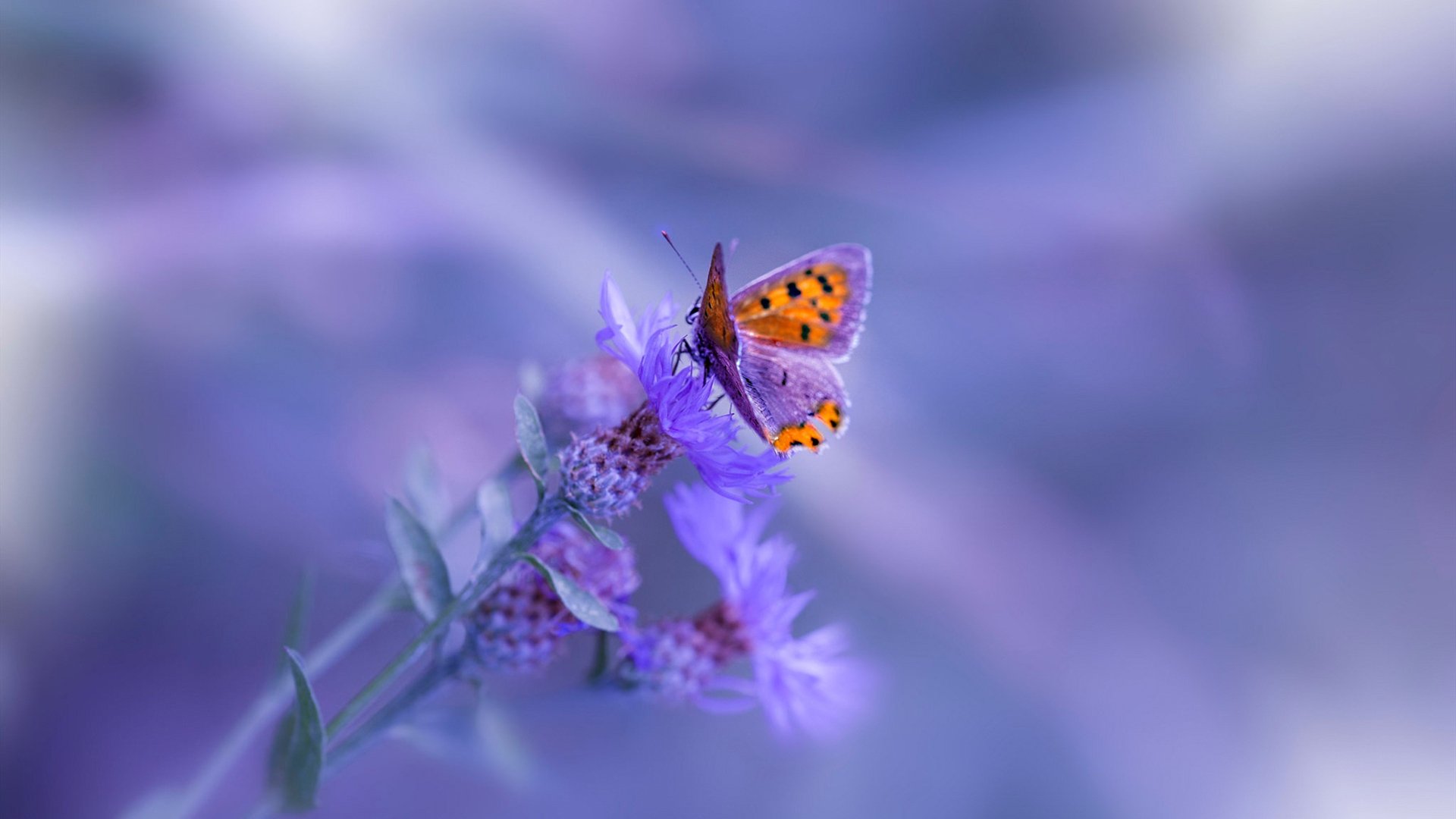 九游官网pc-【平局后怎么玩】加时赛新规让每场比赛都值得期待，加时算平局吗