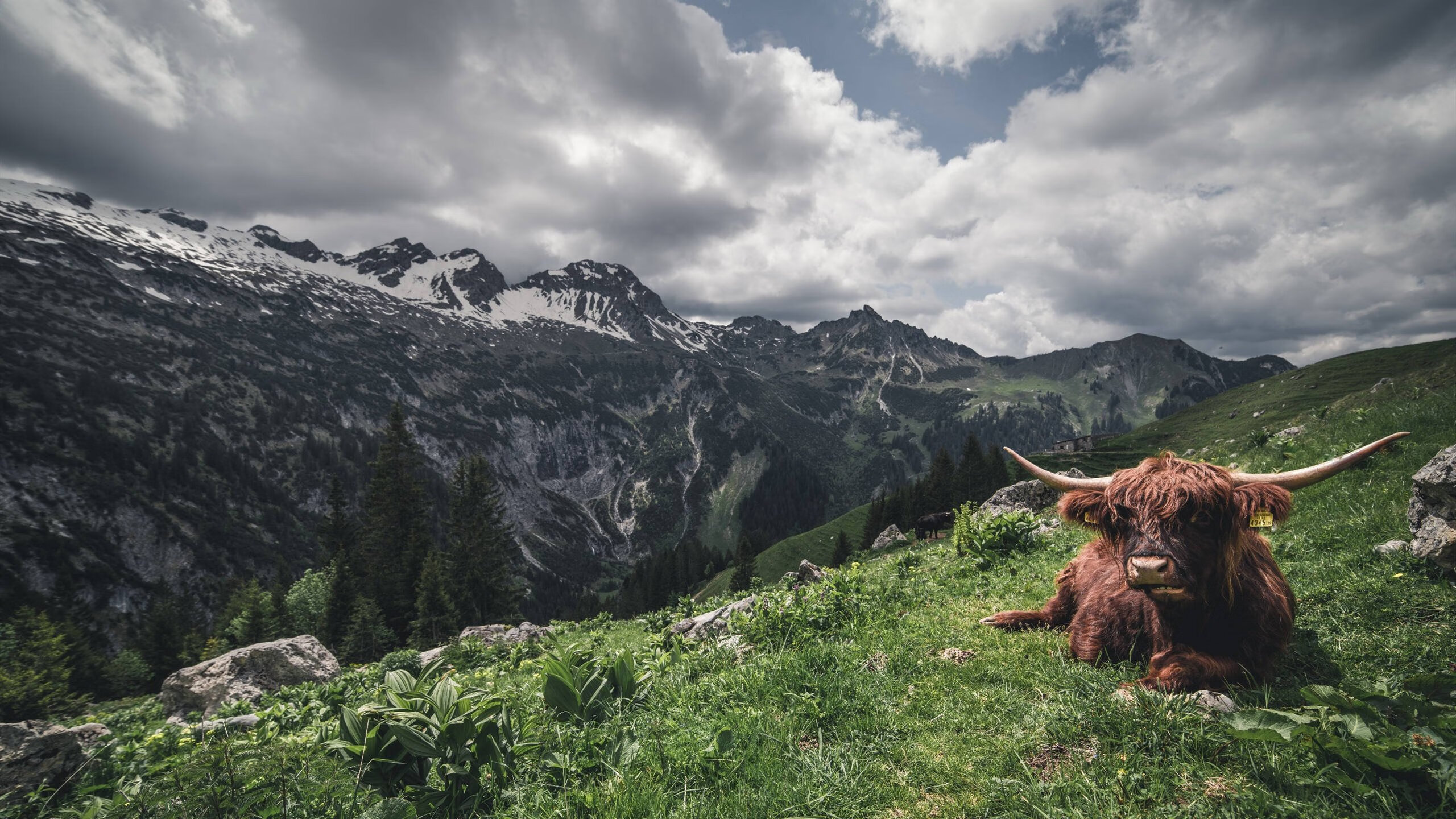 九游9游-今年NBA场均助攻最多的球员是谁？，nba助攻最高纪录