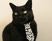 九游sports-广场舞成为全民健身的标志性活动，广场舞属于全民健身吗