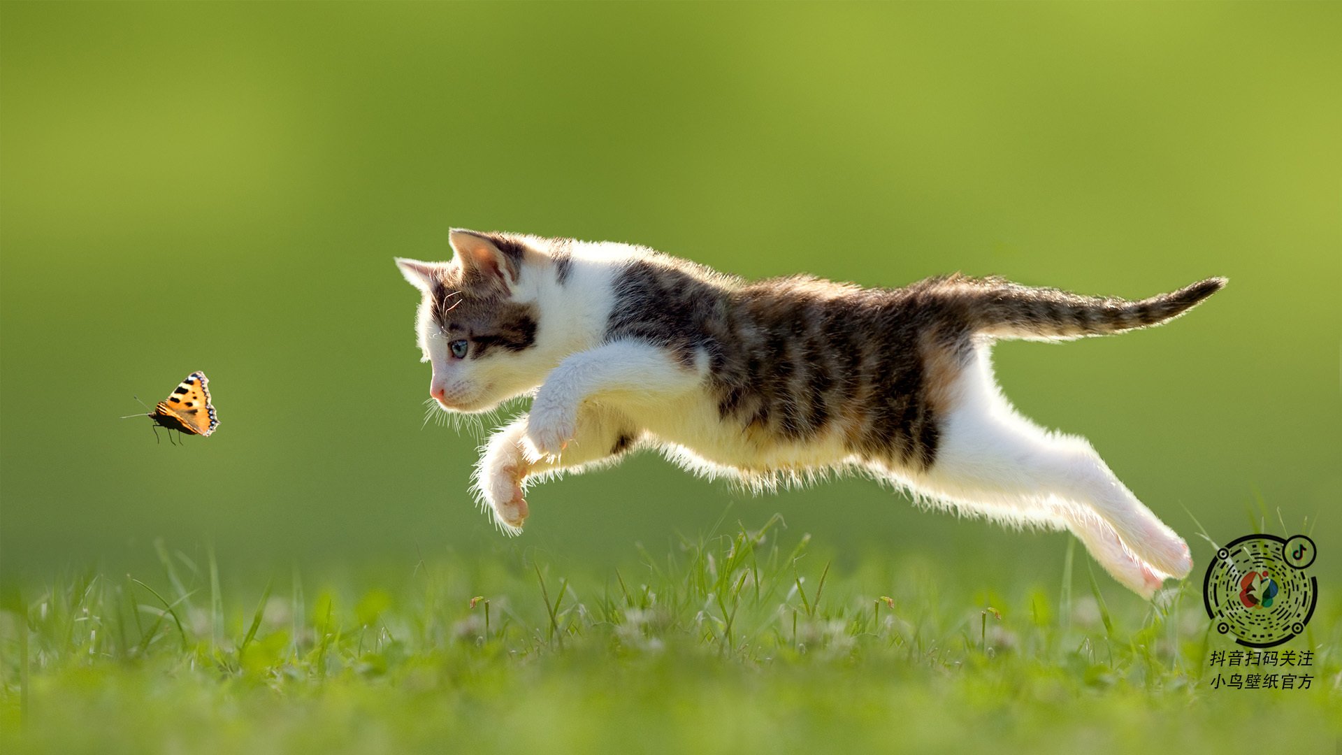 比赛亮点：李明的精彩突破和助攻让对手防不胜防！，李明进球