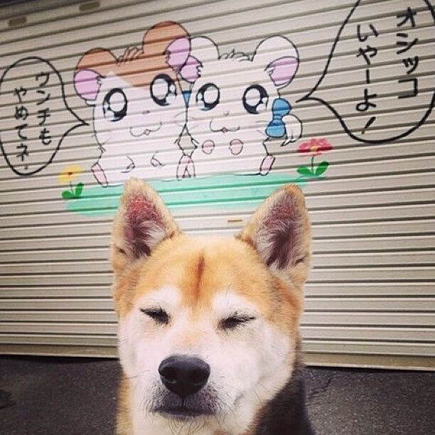 JIUYOU.COM-职业联赛裁判引入全职合同制模式，cba裁判职业化