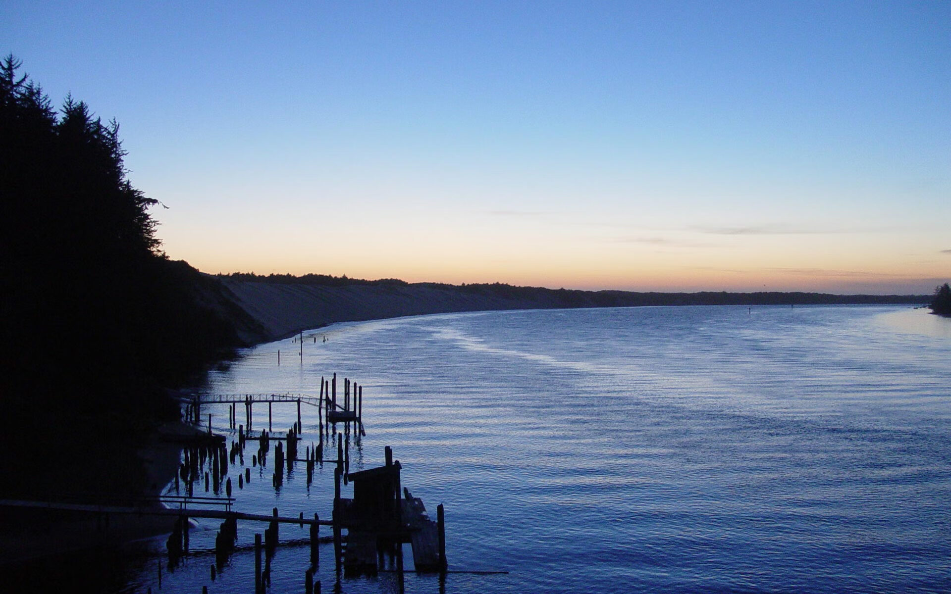 九游娱乐APP-葡萄牙马术队在2024年欧洲工作马术锦标赛中荣获团体金牌，展现强大实力。