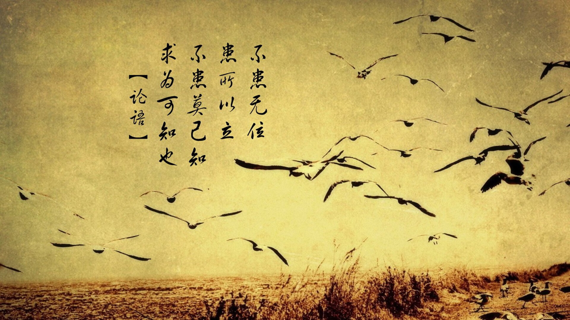 九游游戏中心官网-轮滑锦标赛：青春动感掀起速度狂潮，轮滑集锦