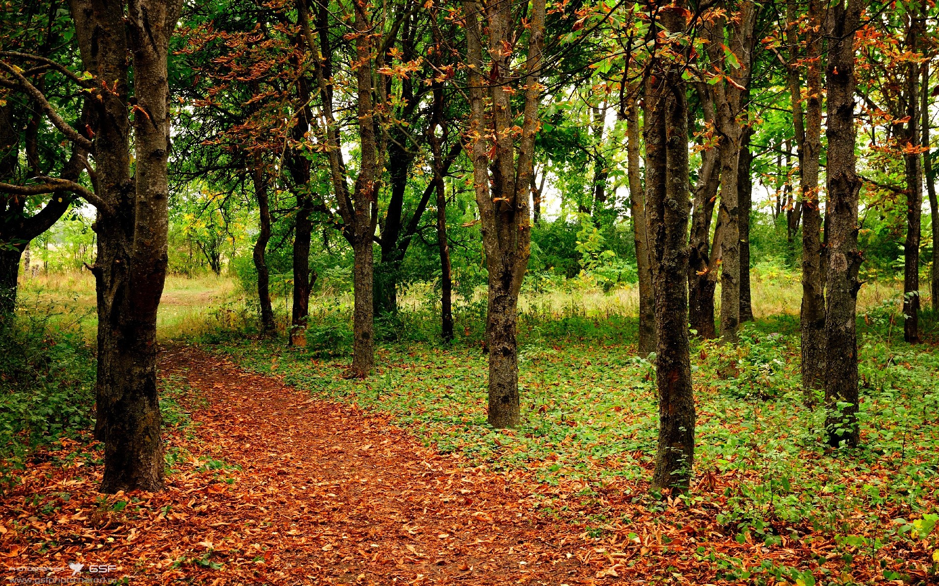 利兹联锋线配合默契,白玫瑰军团冲击前六,利兹联风格