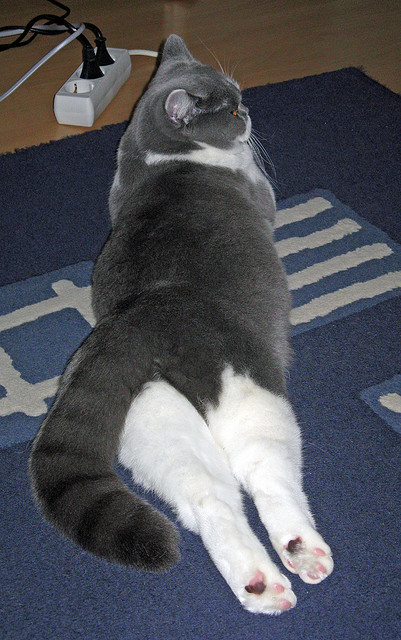 法国队连续三场胜利,稳坐领跑位置,法国队近十场比赛