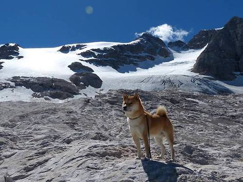 雄鹿绝杀步行者,抢七大战中字母哥砍下47分,雄鹿队字母哥最新消息