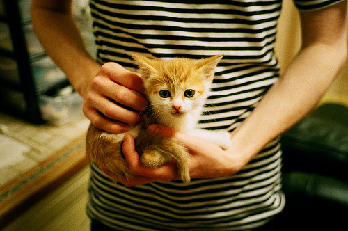 九游娱乐(jiuyou)官方网站-法甲战术创新，专家点评成功转型桥段与未来趋势，法甲实力分析