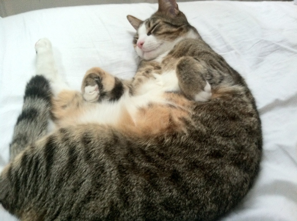 世界青少年网球挑战赛北京站亿万关注,国际青少年网球排名