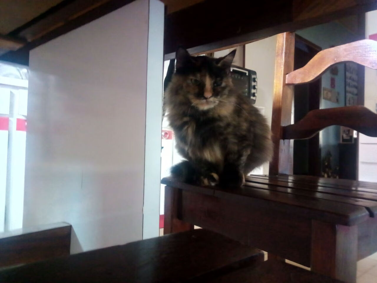 篮球运动员心理健康维护及干预措施探索,篮球心理技能训练计划