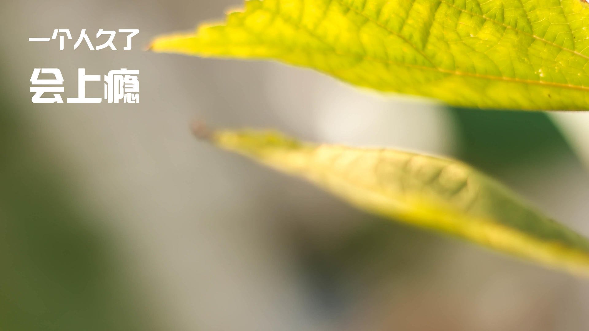 篮球运动员心理健康维护及干预措施探索,篮球心理技能训练计划