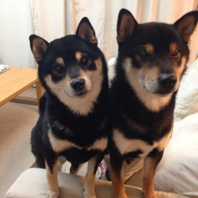 “2025世界运动会沙滩手球赛事,精彩持续升温”