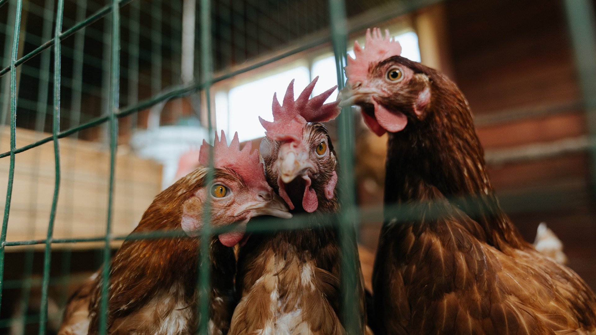 五大联赛哪些球队最依赖个人能力解决问题，5大联赛球队