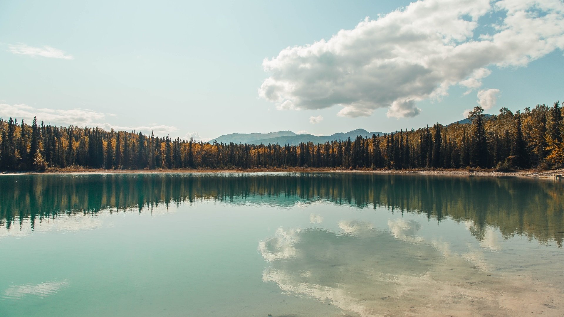 2026年世界杯十大亮点预告,期待世界足坛盛事!,2026年的世界杯