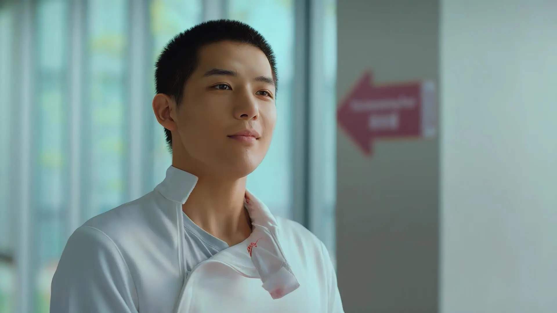 德甲球迷文化的多样化表现,球迷文化的见解