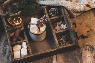 九游官网下载app下载-NBA赛季助攻王表现动态，nba本赛季助攻王